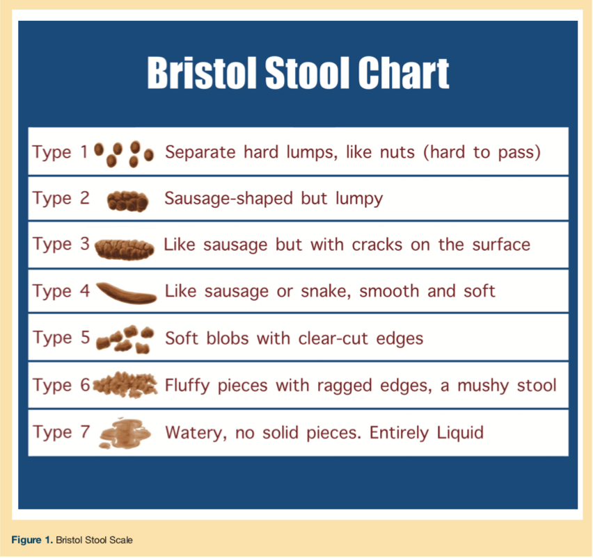 Improving Communication About Constipation In A Long Term Care Setting improving-communication-about-constipation-in-a-long-term-care-setting